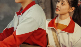 电视剧人世间剧情介绍,岁月流转，情感交织的岁月长河